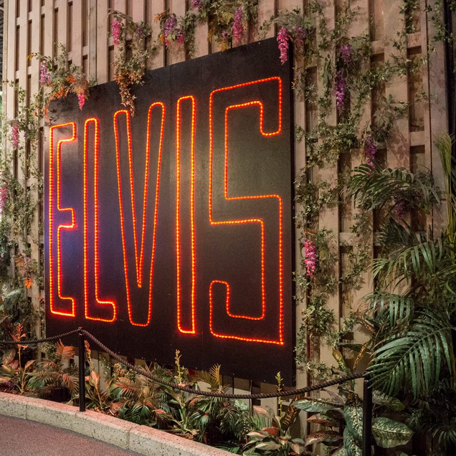 Besøk på Graceland
